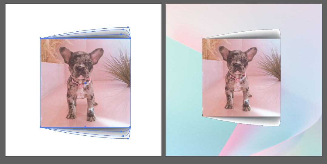 Screen Shot 2019-03-12 at 9.24.28 AM.png